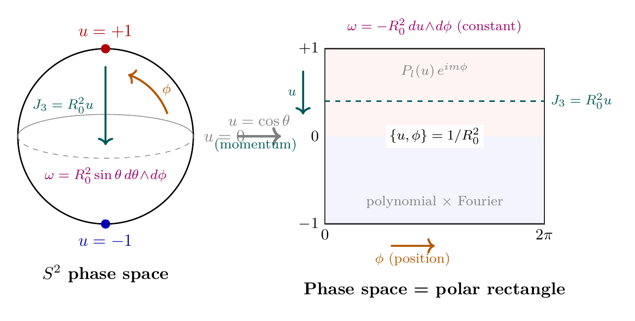Figure 64.1
