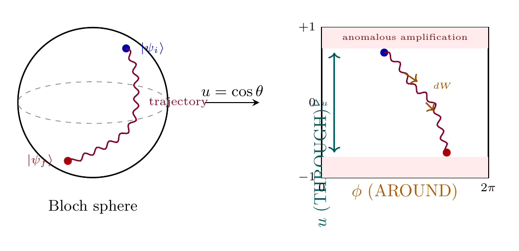 Figure 81.1