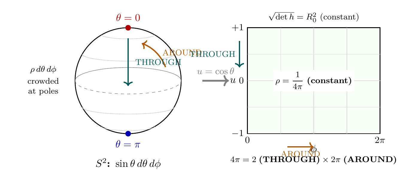 Figure 121.1