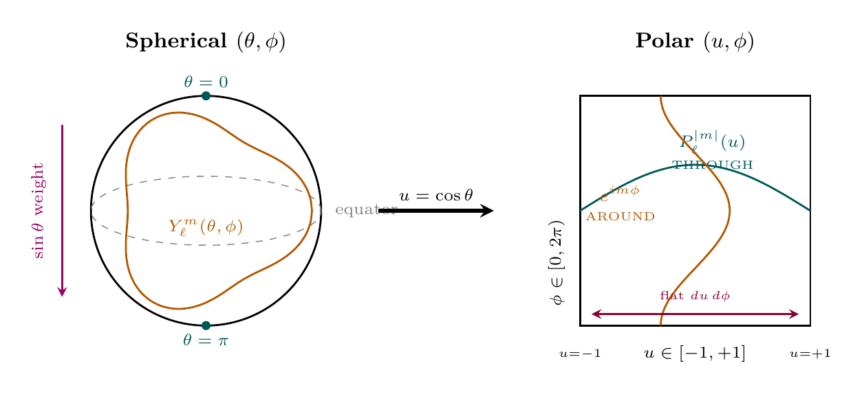 Figure 135.1