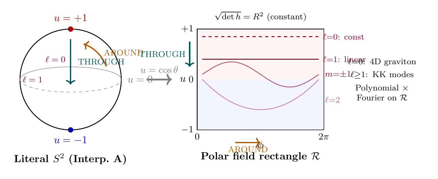 Figure 145.1